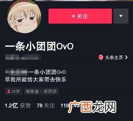 ovo是什么意思,us什么意思网络语？
