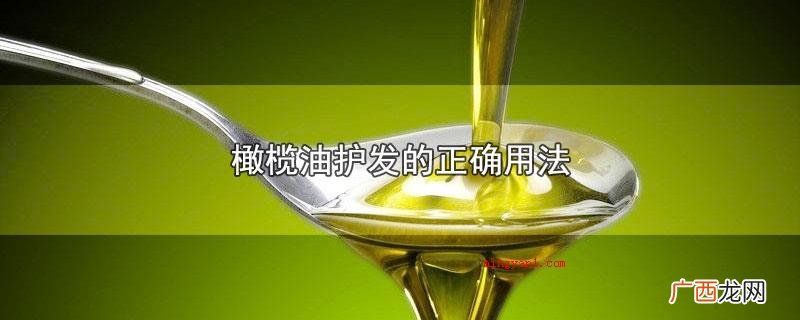 橄榄油护发的正确用法