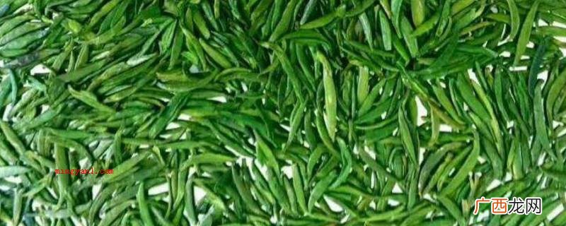 竹叶青茶好吗