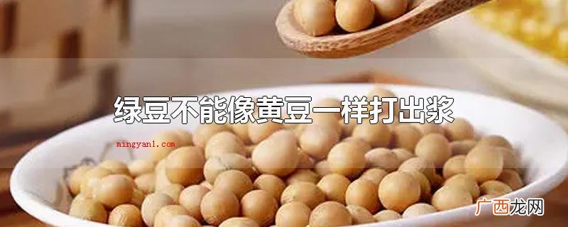 绿豆不能像黄豆一样打出浆