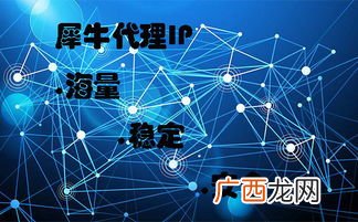 proxy是什么意思,ps4 proxy服务器是什么？