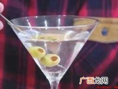 干马天尼鸡尾酒配方