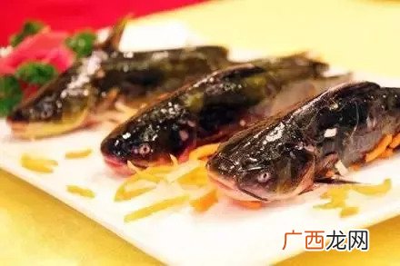 昂公鱼的学名,最大昂刺鱼有多大？