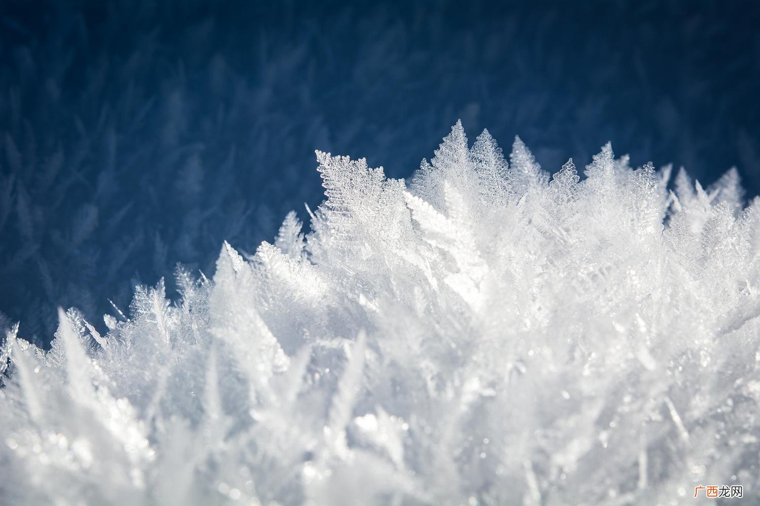 其实雪不是白色的,眼睛欺骗了我们 雪为什么是白色的