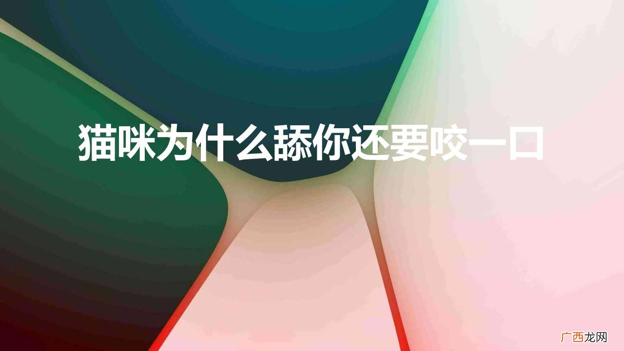 猫咪又舔人又咬人是什么情况 猫咪为什么舔你还要咬一口