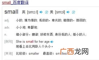 small是什么意思,FEIIOW的翻译是：什么small的意思中文翻译？