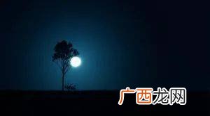moonlight是什么意思,moonlight什么意思？