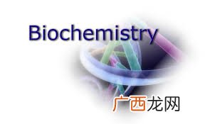 bio是什么意思,bio技术是什么意思？