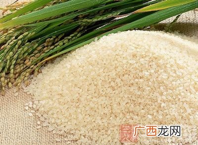 栗米和粟米有什么分别,高粱米和粟米有什么区别？