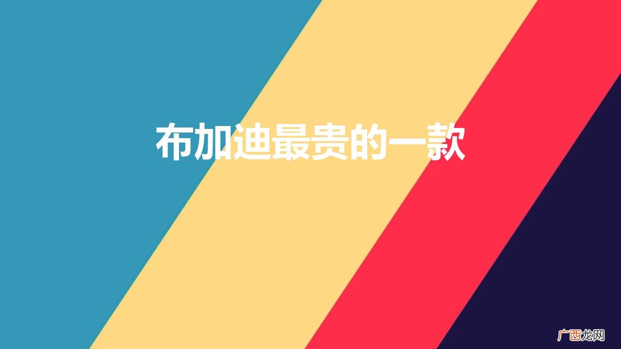 布加迪跑车最贵的多少钱 布加迪最贵的一款叫什么名字