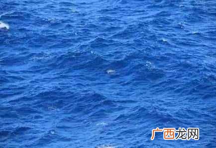 海为什么是蓝色的,渤海形成黄色和蓝色的原因？