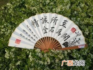 白鹤象征着什么,有关鹤的意象和象征？