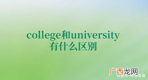 college什么意思,college学位？