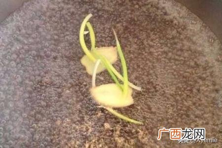 花胶要泡多久,花胶要泡多久？