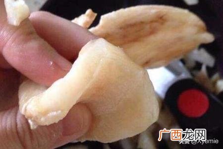 花胶要泡多久,花胶要泡多久？