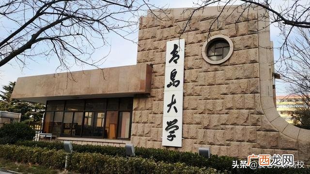 青岛大学和济南大学哪个好 山东省有几所一本大学