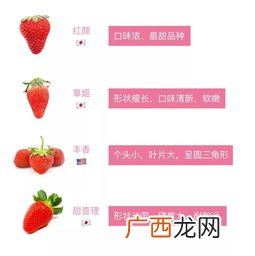草莓的暗语是什么意思,b站吃草莓是什么梗？