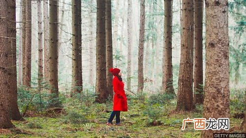 trees是什么意思,树花草的复数怎么写？