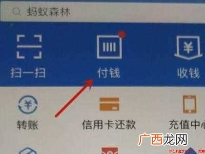 演示机型:Iphone 12 重庆轻轨怎样扫码乘车