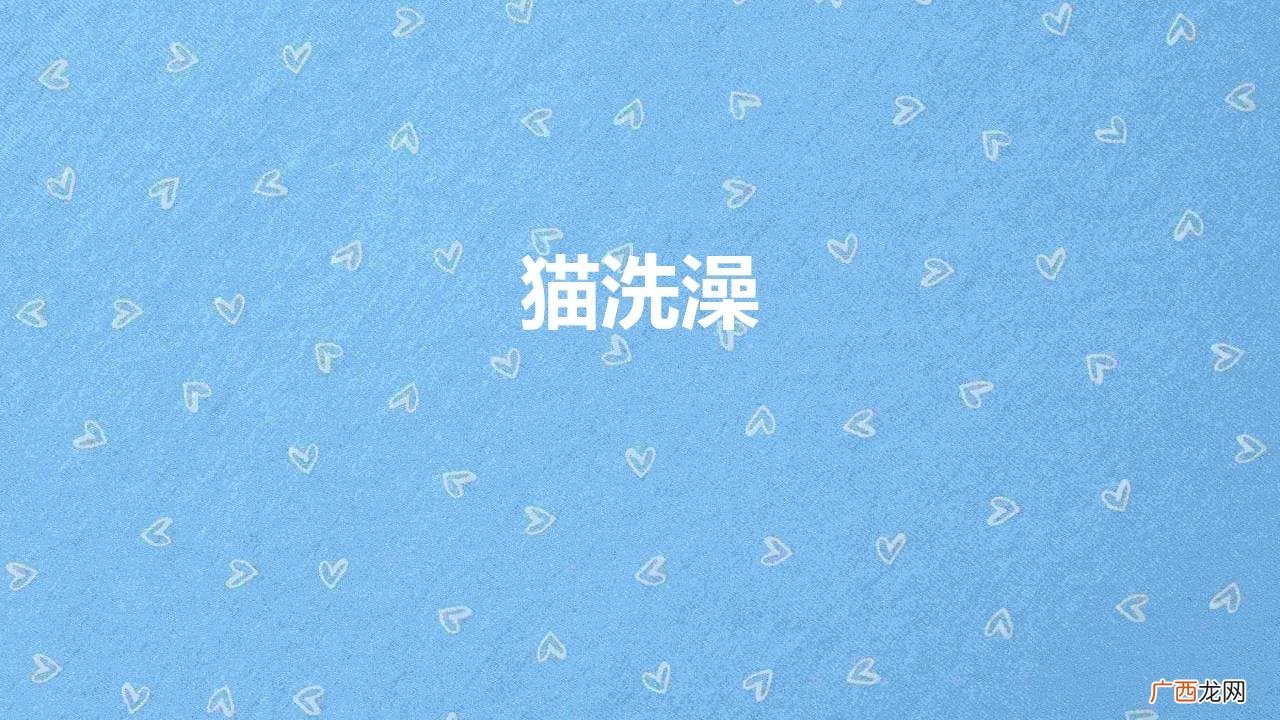 猫咪洗澡有妙招 猫洗澡