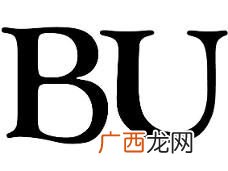 bu是什么意思,“BU”是什么意思？