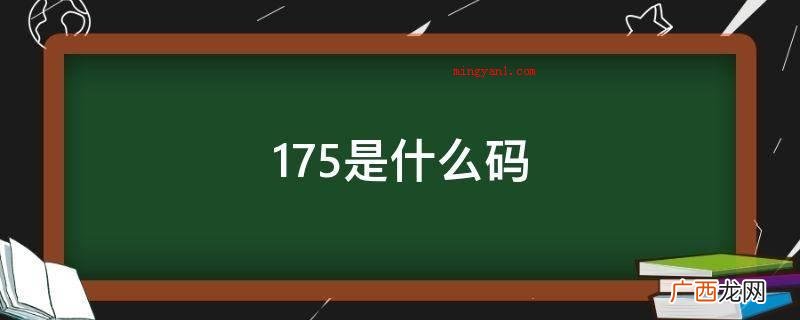 175是什么码