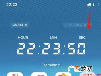 苹果12数据网络怎么打开