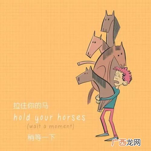 horses是什么意思,英语中的“动宾关系”是什么？