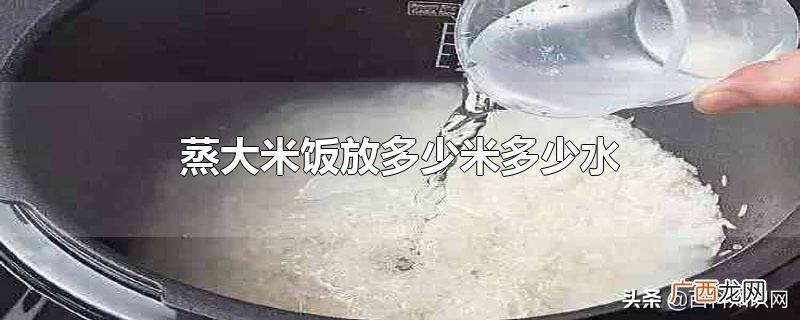 米和水1:1.2是什么意思 蒸米饭一碗米几碗水