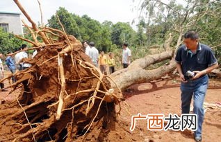 趋利避害的意思是什么意思,兴利避害的意思？