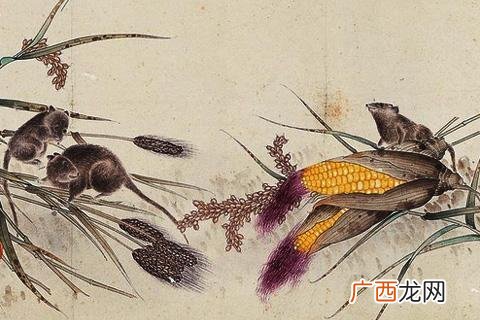 根据命格行事能旺财 十二生肖命运金木水火土