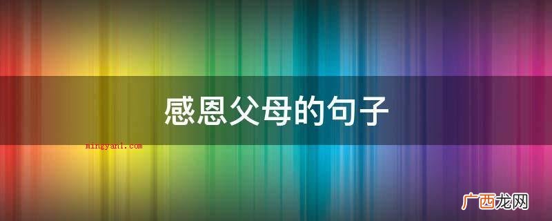 感恩父母的句子