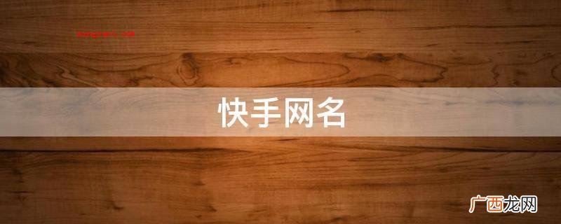 快手网名