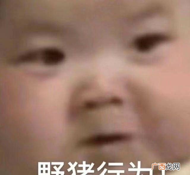 形容一个人一些个人行为好像山猪会做出来的动作一样,十分蛮不讲 野猪行为是什么意思