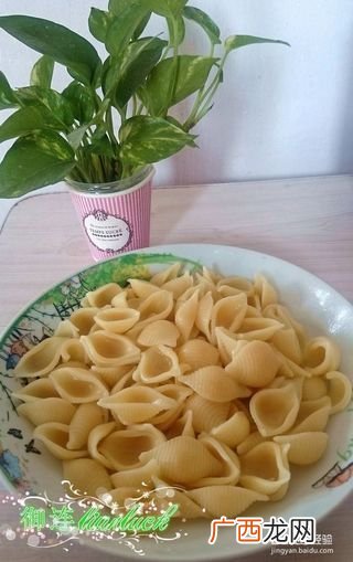 大贝壳怎么做好吃,贝壳肉最好吃的七种做法？