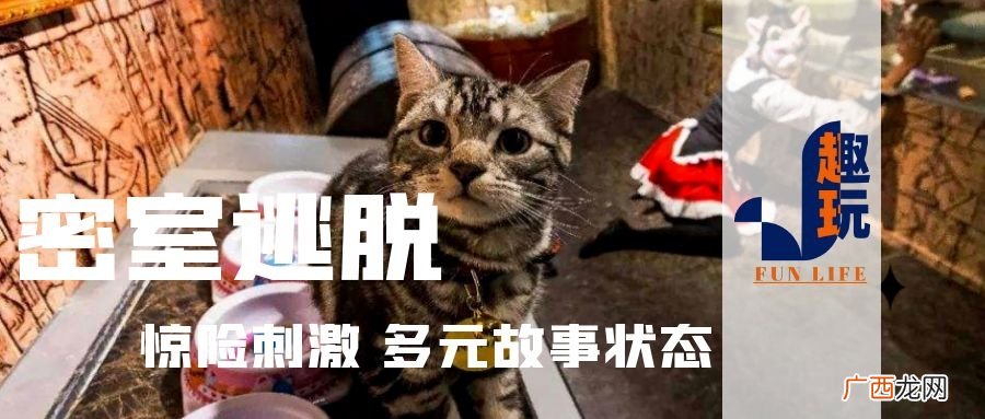 新手玩密室逃脱玩法经验完整总结 密室逃脱怎么玩
