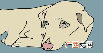 surprised什么意思,Surprise的ing形式和ed 形式是什么？
