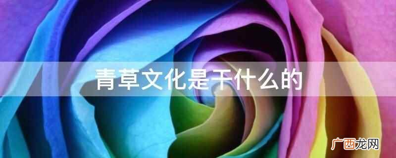 青草文化是一家文化娱乐公司,助力打造青青树动漫与克里丝动漫的 青草文化是干什么的