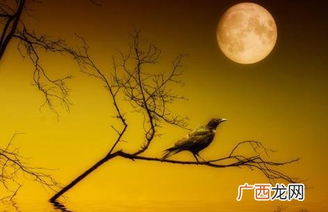 有两种寓意，第一种很多人不知道 乌鸦象征着什么