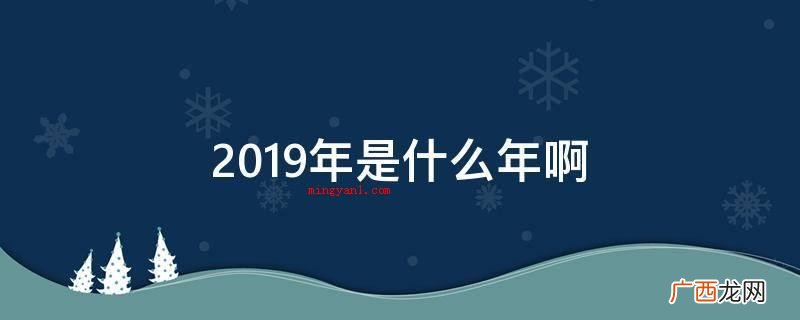 2019年是什么年啊