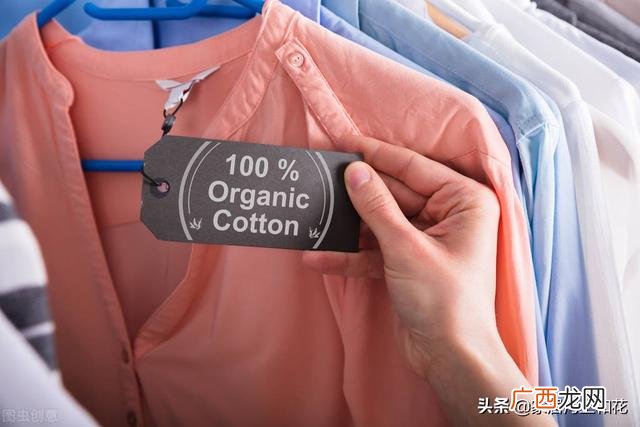 纯棉面料和全棉面料衣服哪个好 全棉与纯棉有什么区别