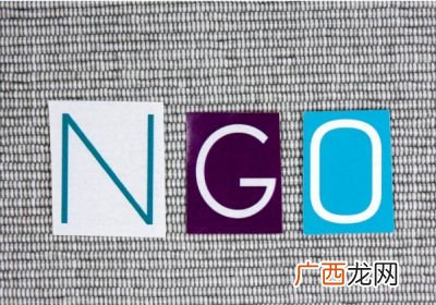什么是ngo组织,NGO是什么组织？