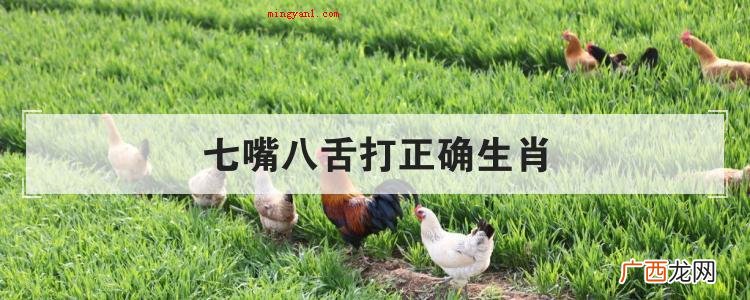 七嘴八舌打正确生肖