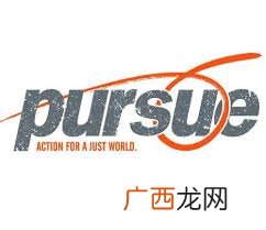 pursue是什么意思,pursue to do还是doing？