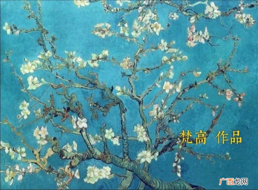 十首描写杏花诗词皆有名句 关于杏花的诗句大全