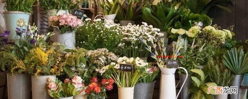 花的名字