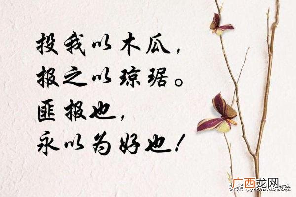投我以木瓜报之以琼琚什么意思,“投以木桃，报以琼瑶”是什么意思？