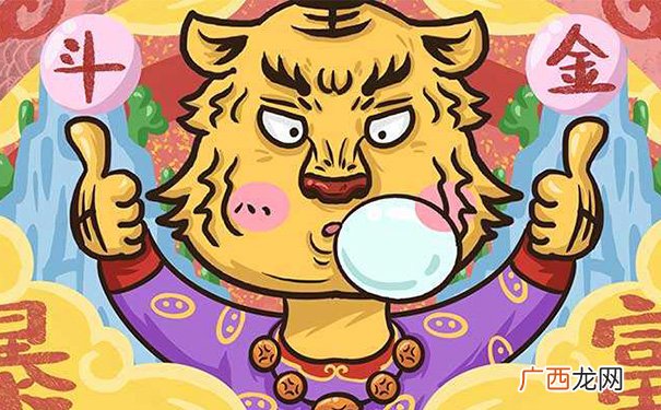 95年的猪哪年走大运 95年属猪什么时候翻身