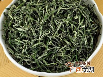 毛尖是绿茶吗,春茶和毛尖的区别？