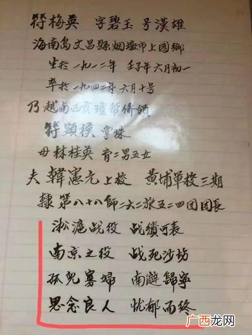 手书是什么意思,请问哔哩哔哩里的“手书”和“人力”是什么意思？